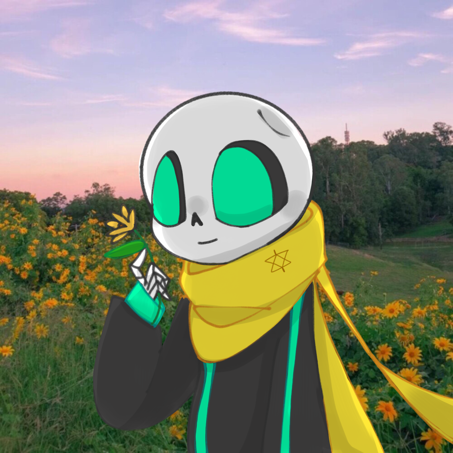 ider sans
