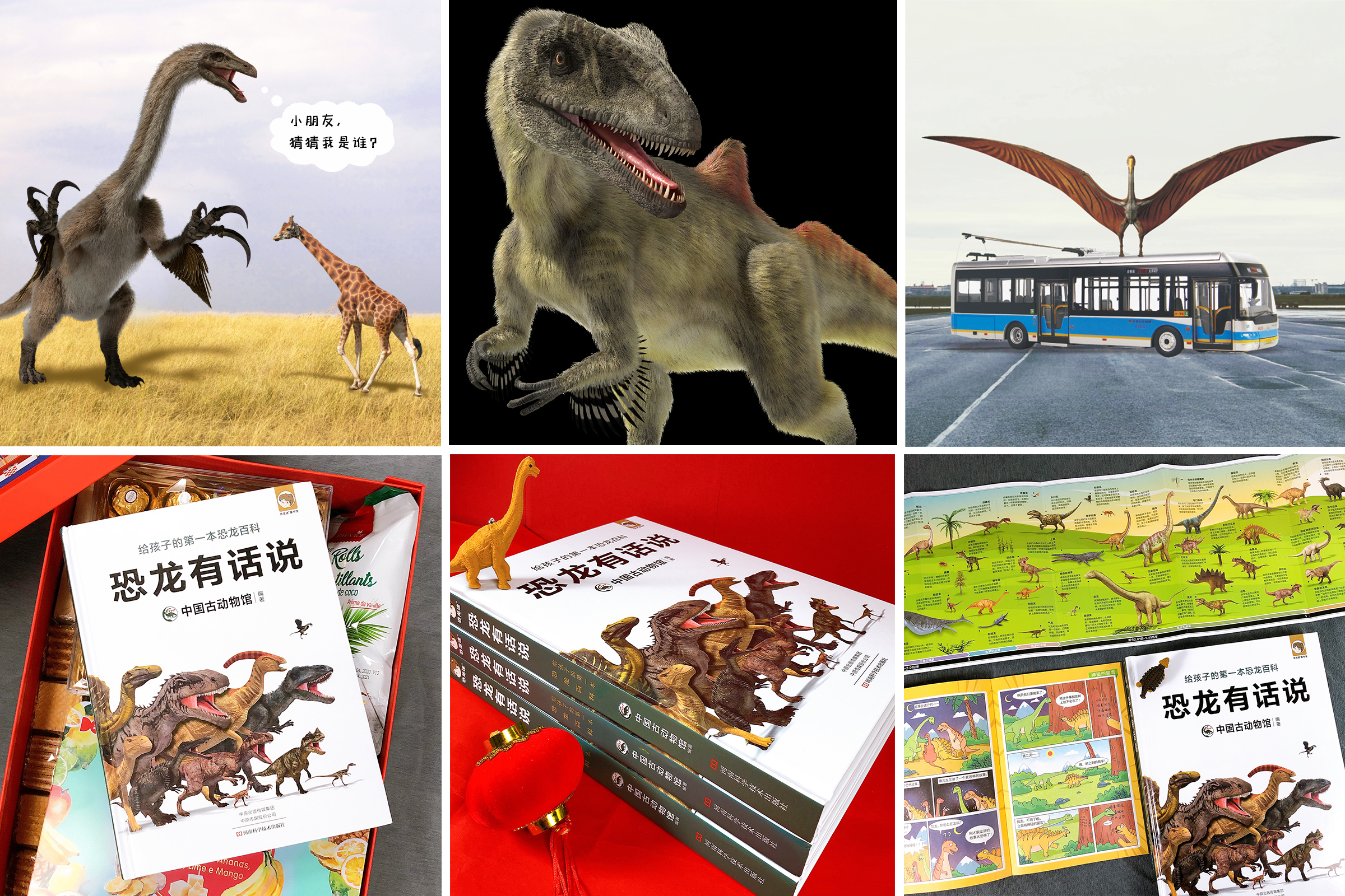 以恐龙视角,讲恐龙知识,说恐龙故事.