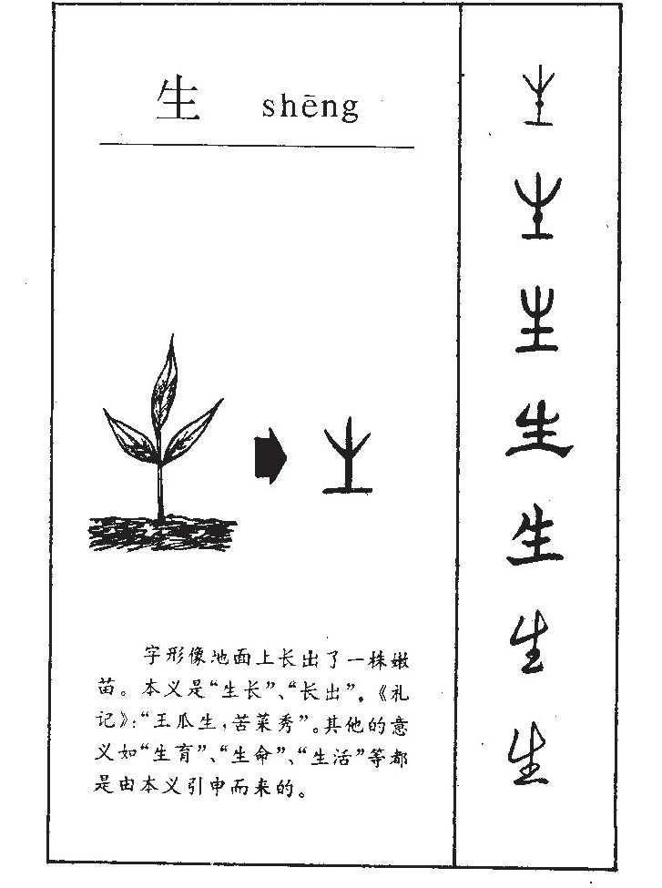 此字始见于商代甲骨文,其古字形像幼苗刚从土地里长出来的样子,本义指