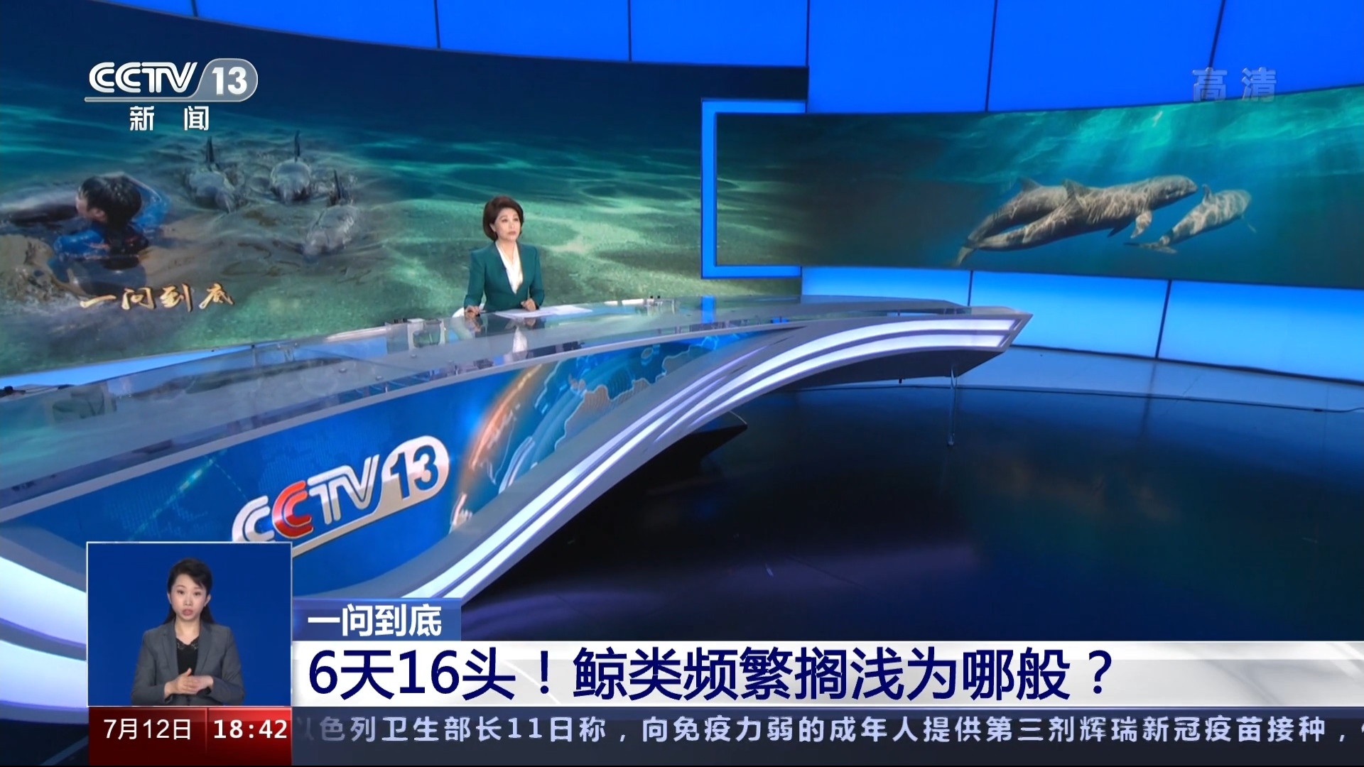 共同关注