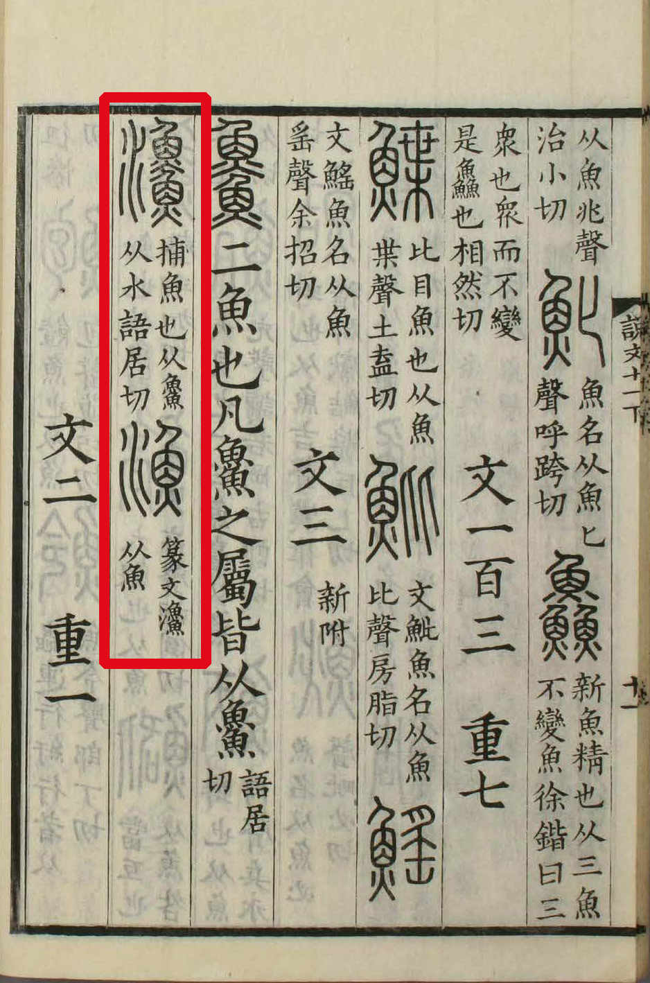 此字始见于商代甲骨文及商代金文,其古字形像用手捕鱼,或像水中游鱼