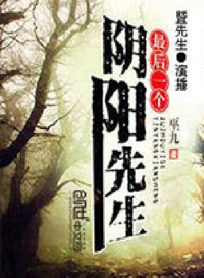 最后一个阴阳先生