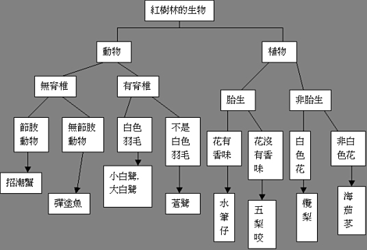 植物检索表 百度百科