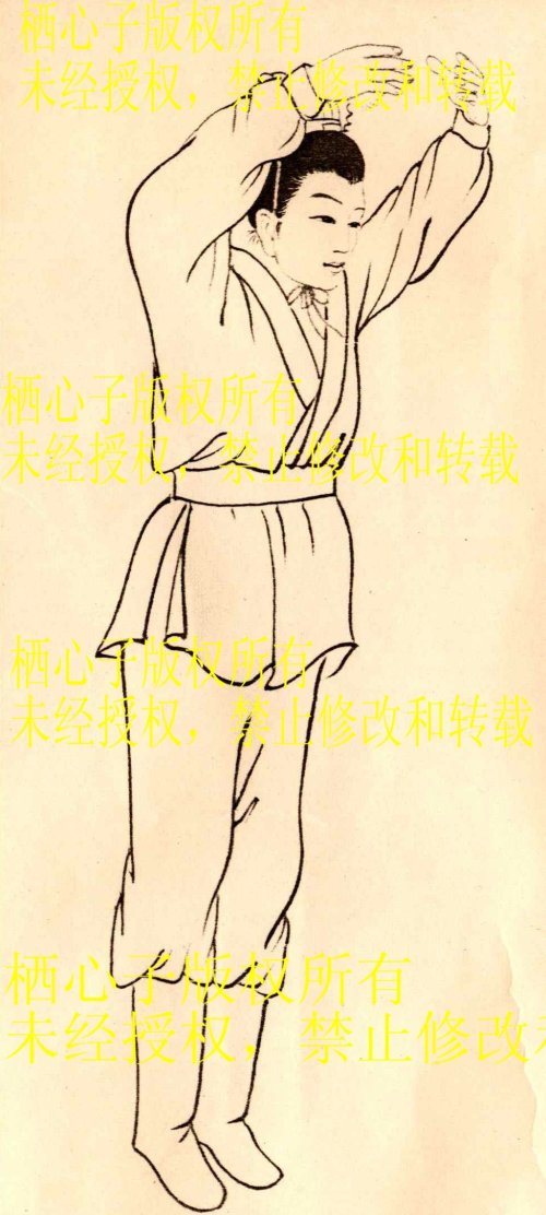 王子鹏
