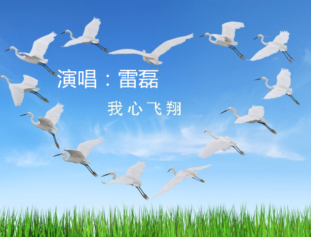 我心飞翔