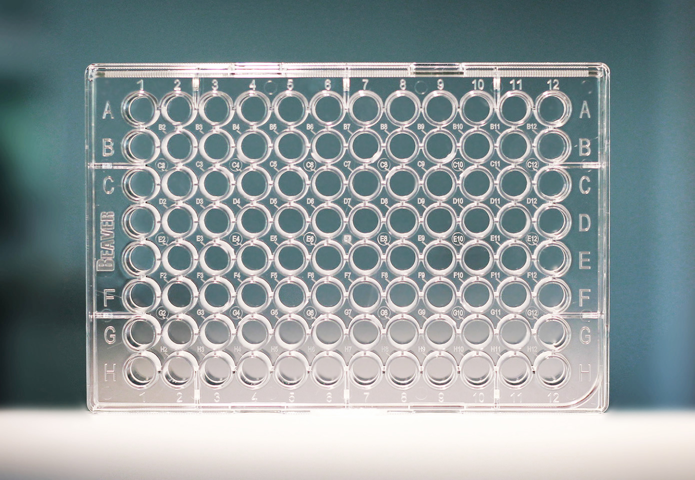 细胞培养板