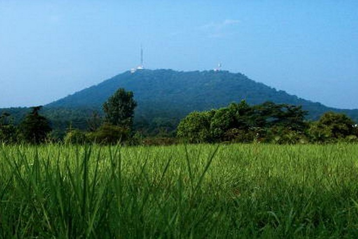 合肥大蜀山森林公园