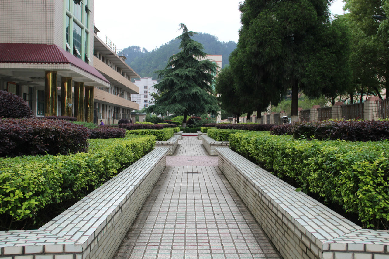 绥宁县第一中学