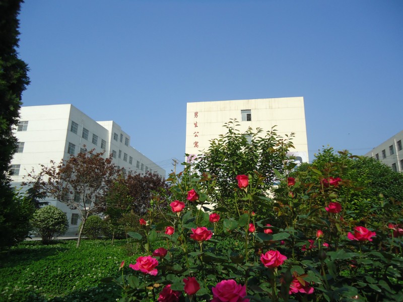 兴平市南郊高级中学