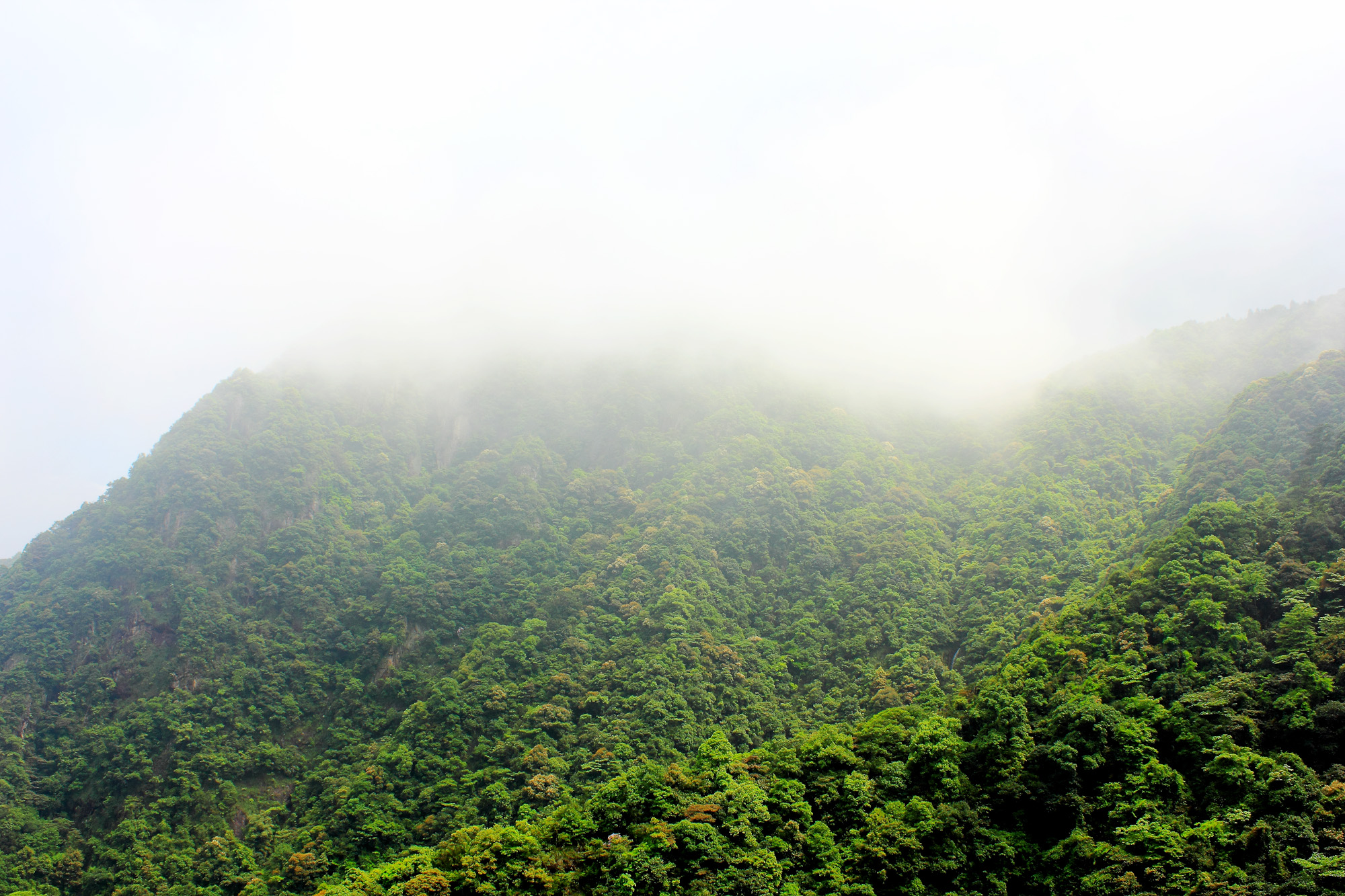 福建旗山国家森林公园