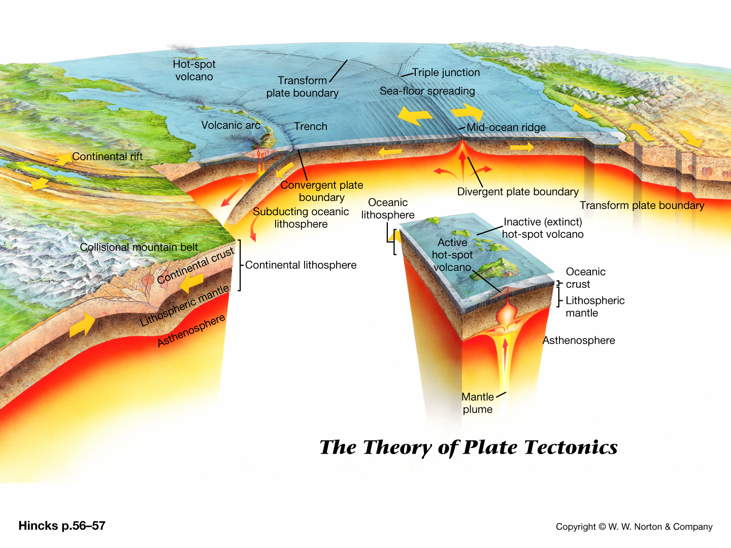  p>火山岛弧(volcanic island arc)是指在大洋中成弧形分布并有火山