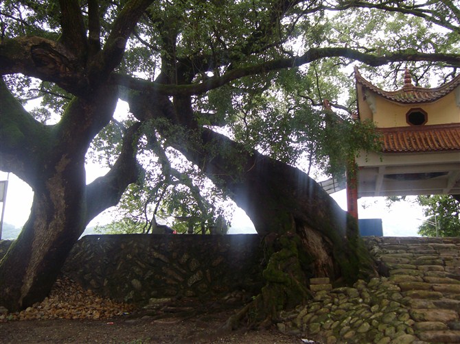  p data-id="gnx0taflmk">外表村位于福建省宁德市蕉城区霍童镇镇区