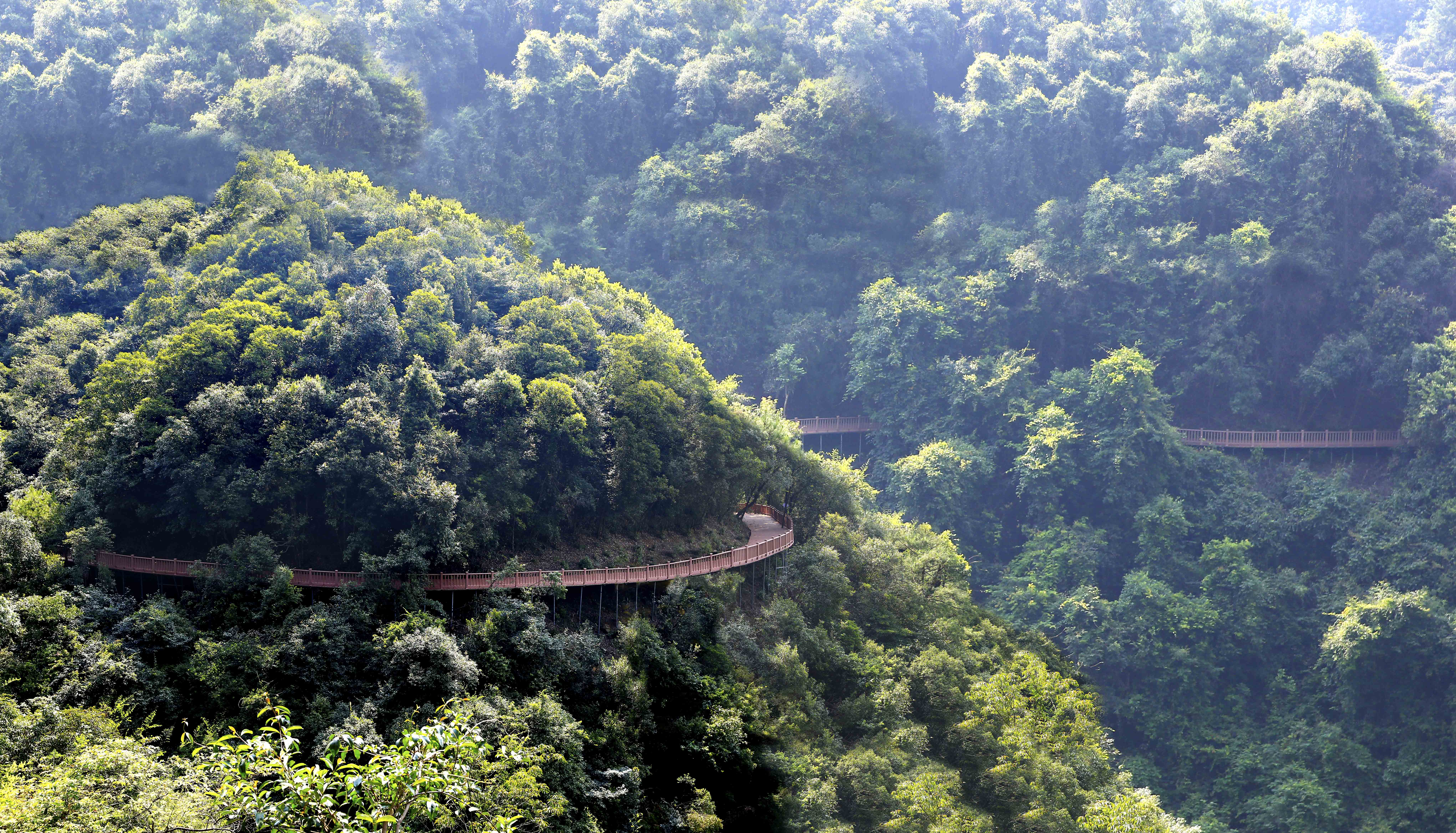 ">大余 /a> a target="_blank" href="/item/丫山风景区/1576292"