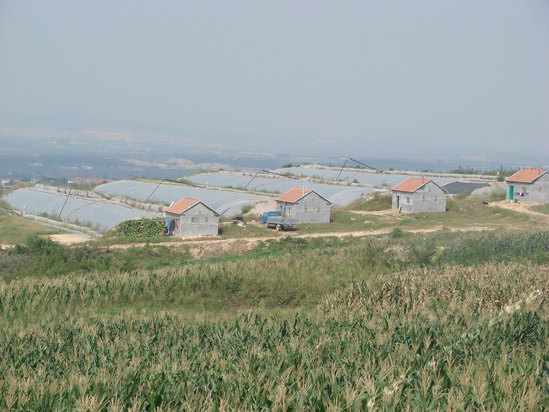 烟台中心大酒店