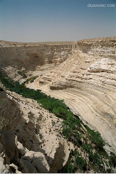  p>内盖夫沙漠(the negev desert) 横亘于以色列南方的 a href="#"
