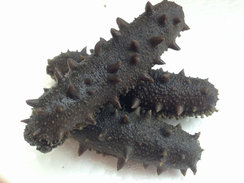  p>半干海参是一种干湿适中,肉质均匀,鲜度好的海参.