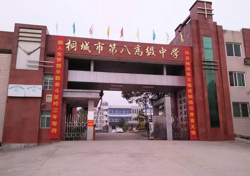 桐城市新八中