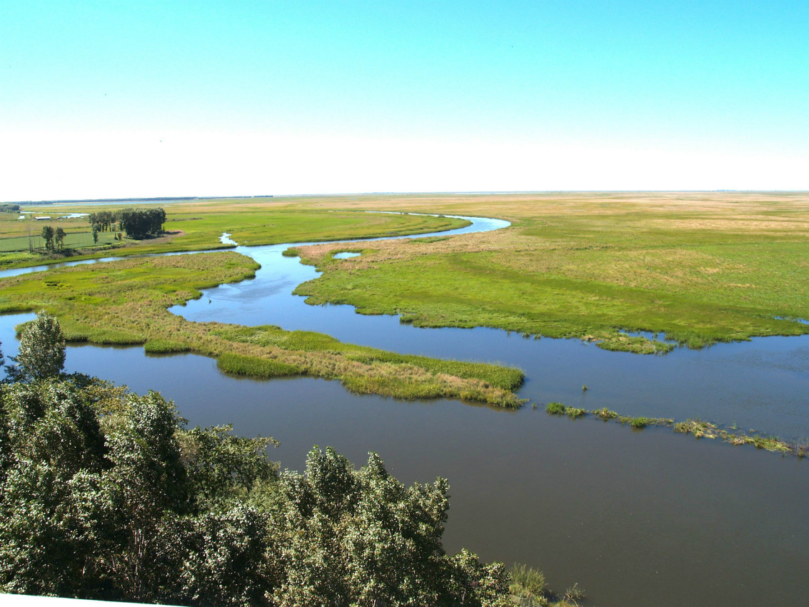 data-id="go010tb1tc">黑龙江挠力河国家级自然保护区,地处三江平原