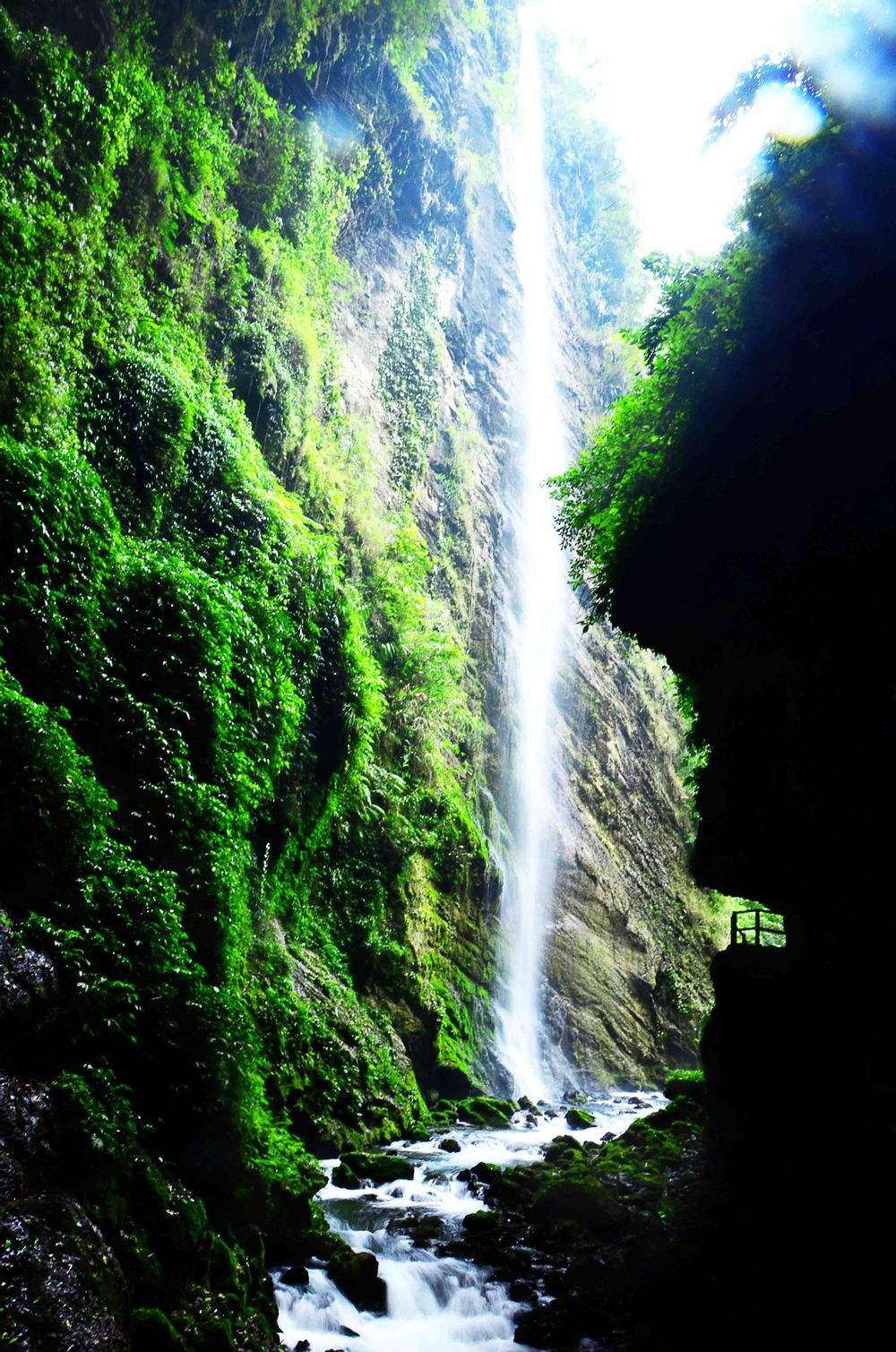 p0vyy"> a target="_blank" href="/item/古龙山峡谷群景区/6898367"