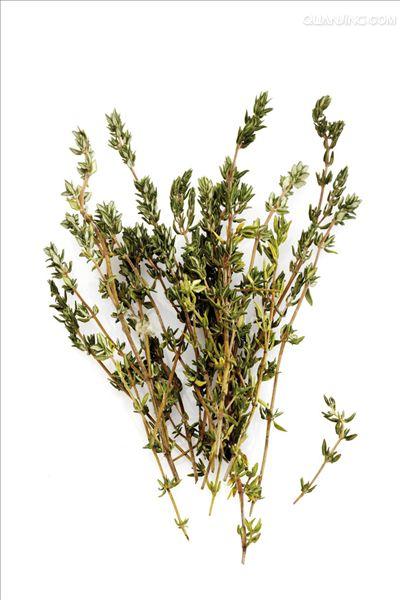  p data-id="txuwy1af45ll">百里香( i>thymus mongolicus /i> (ron