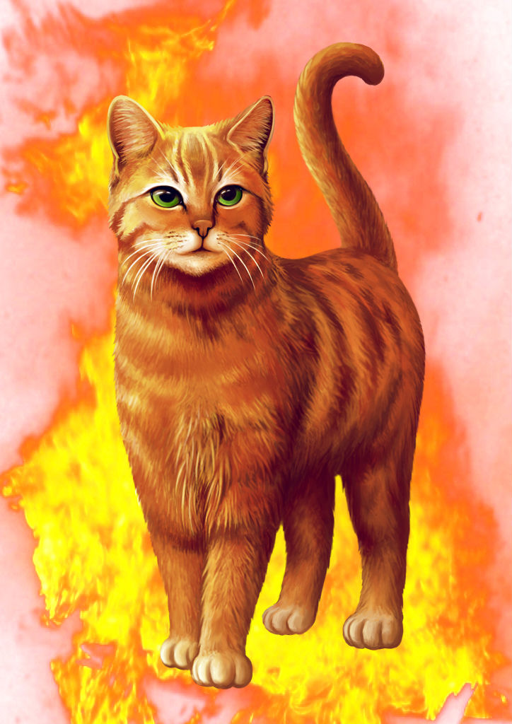 猫武士雷族族长火星