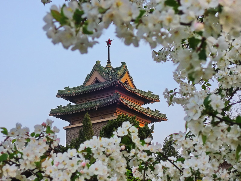  p>南京农业大学(nanjing  agricultural  university)坐落于 a