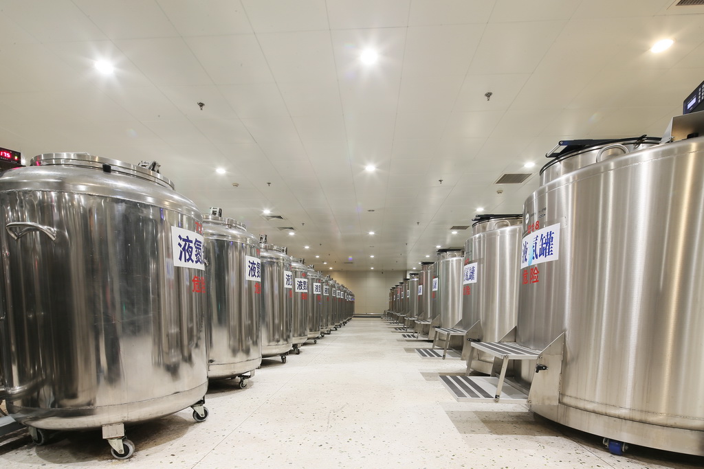 证号:卫脐血干细胞库字[2002]第001号),英文为:beijing cord blood