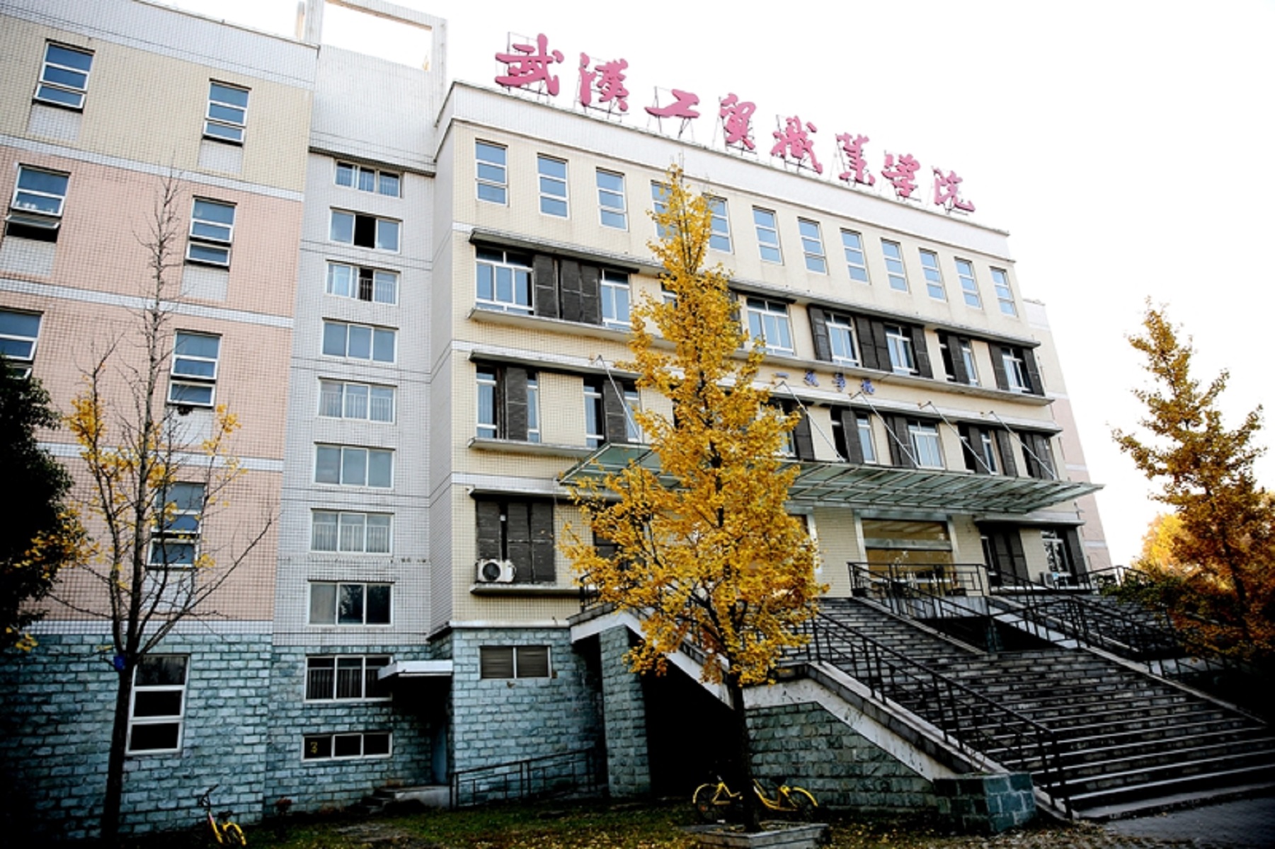 p>武汉工贸职业学院(wuhan  vocational college of industry and