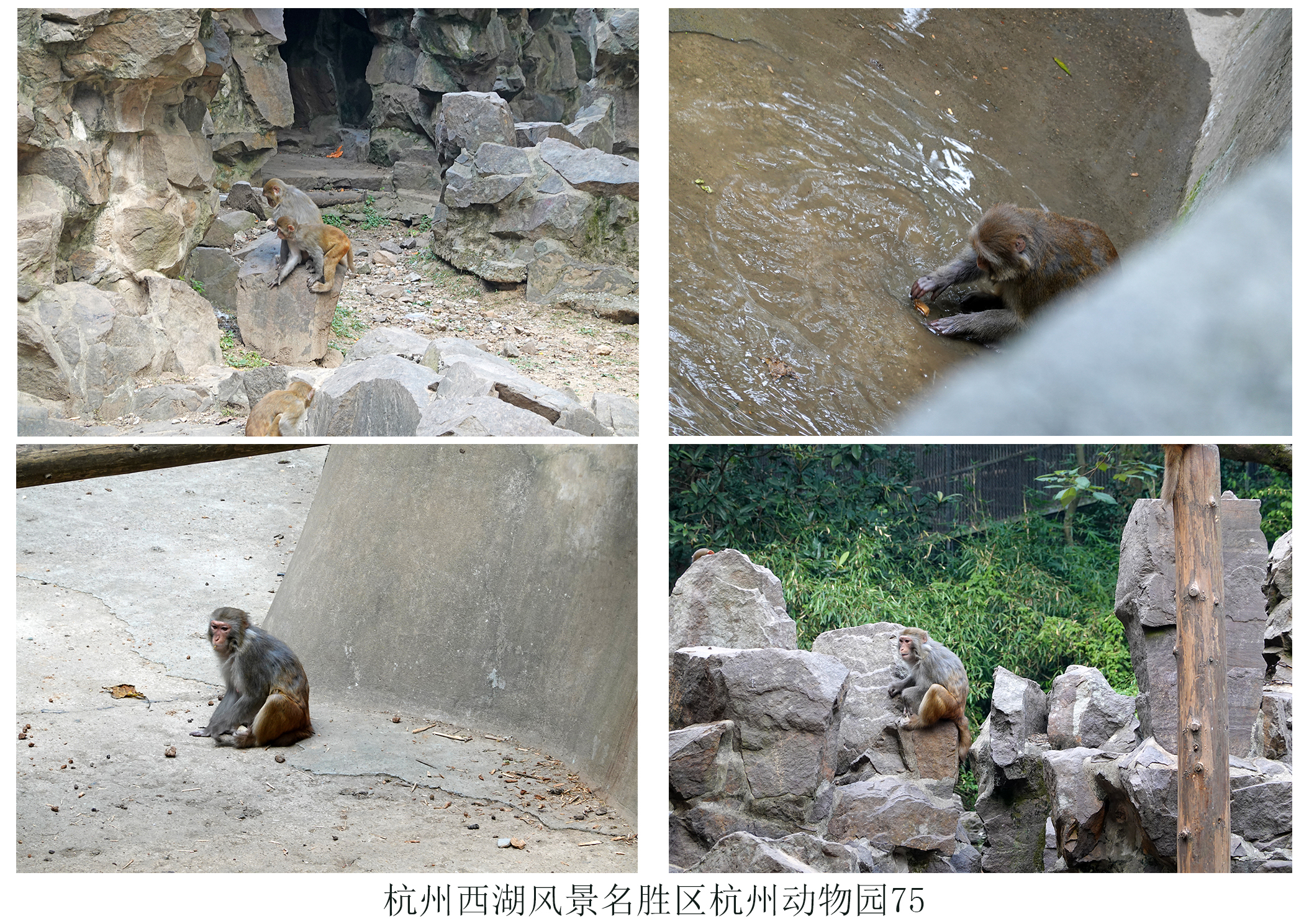 杭州动物园