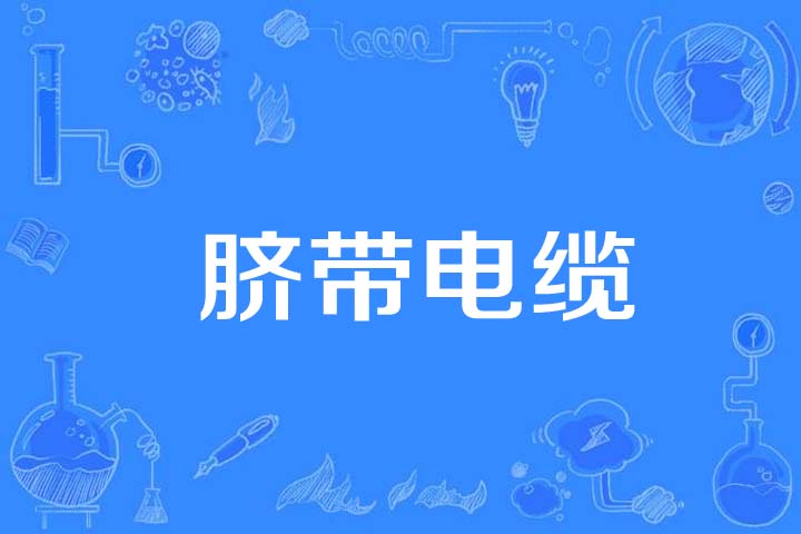  p>脐带电缆(umbilical cable)是2005年公布的航天科学技术名词. /p>