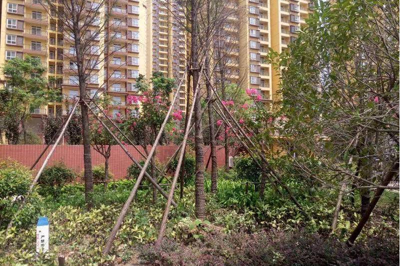  p>新城丽景b区位于武汉市汉阳钟家村,共计房屋1960户. /p>