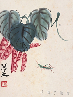 扁豆蚂蚱