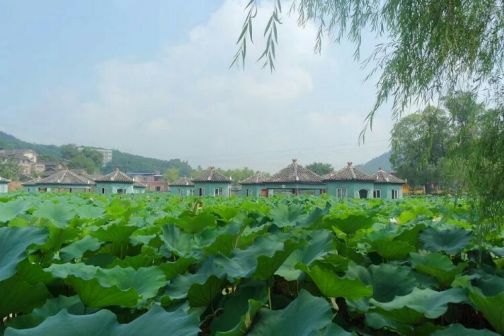 中梁镇（重庆市沙坪坝区下辖镇）_百度百科