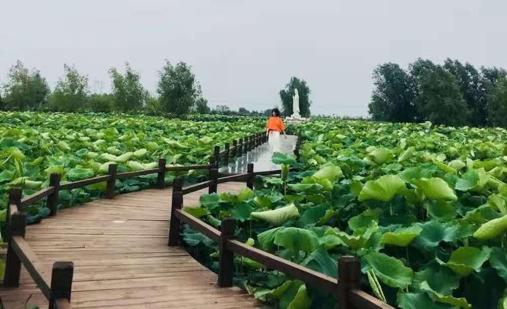 福田莲海观光园