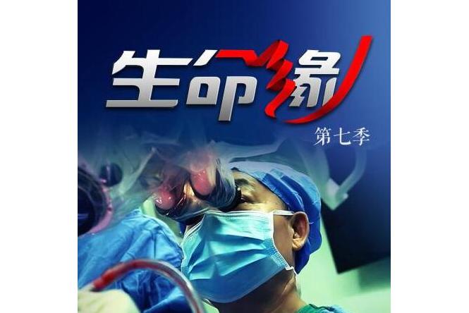 生命缘第七季