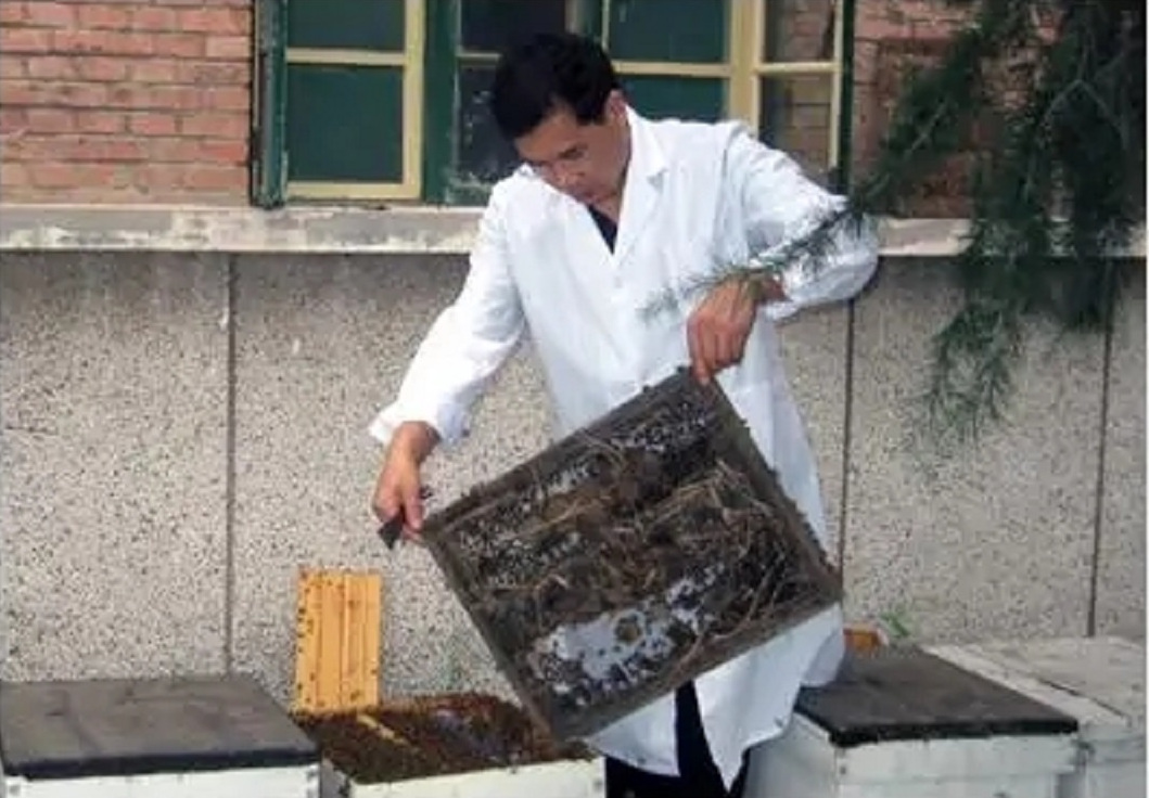 李建科 全网资源