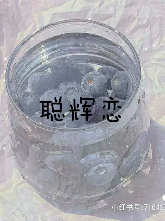 神兽金刚之聪辉之恋