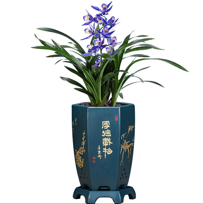 兰花对盆有什么要求吗？当然有，选兰盆有两点要注意的！_百科TA说