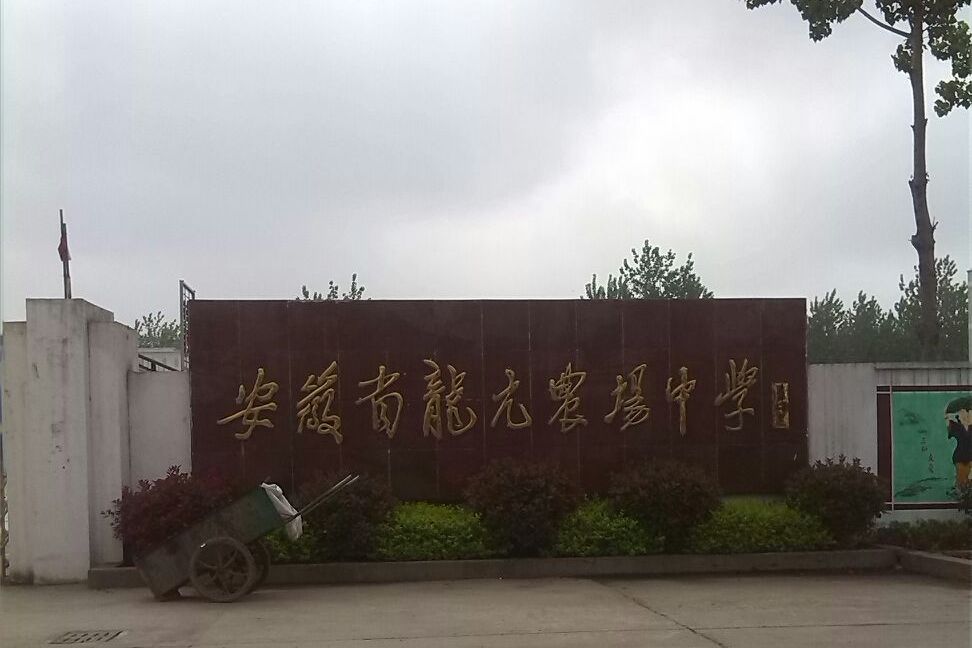 龙亢农场中学