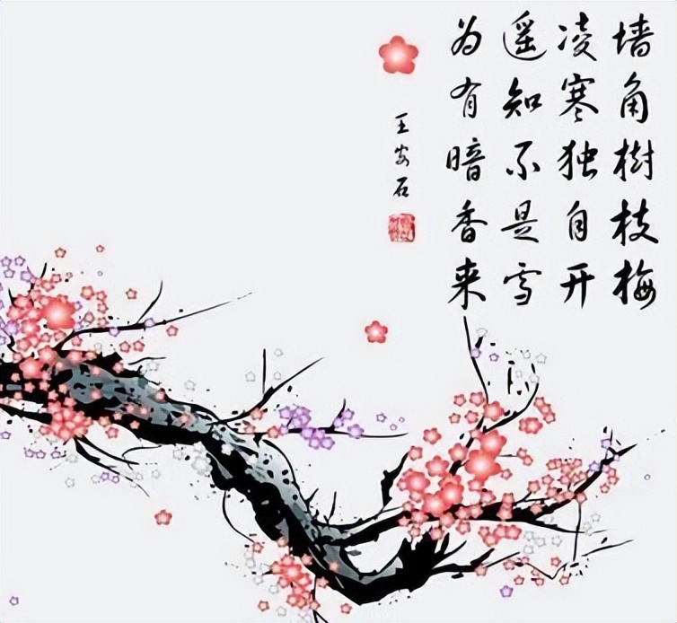 王安石的这首梅花诗，只有短短20字，却成为咏梅诗中的千古绝唱_百科TA说