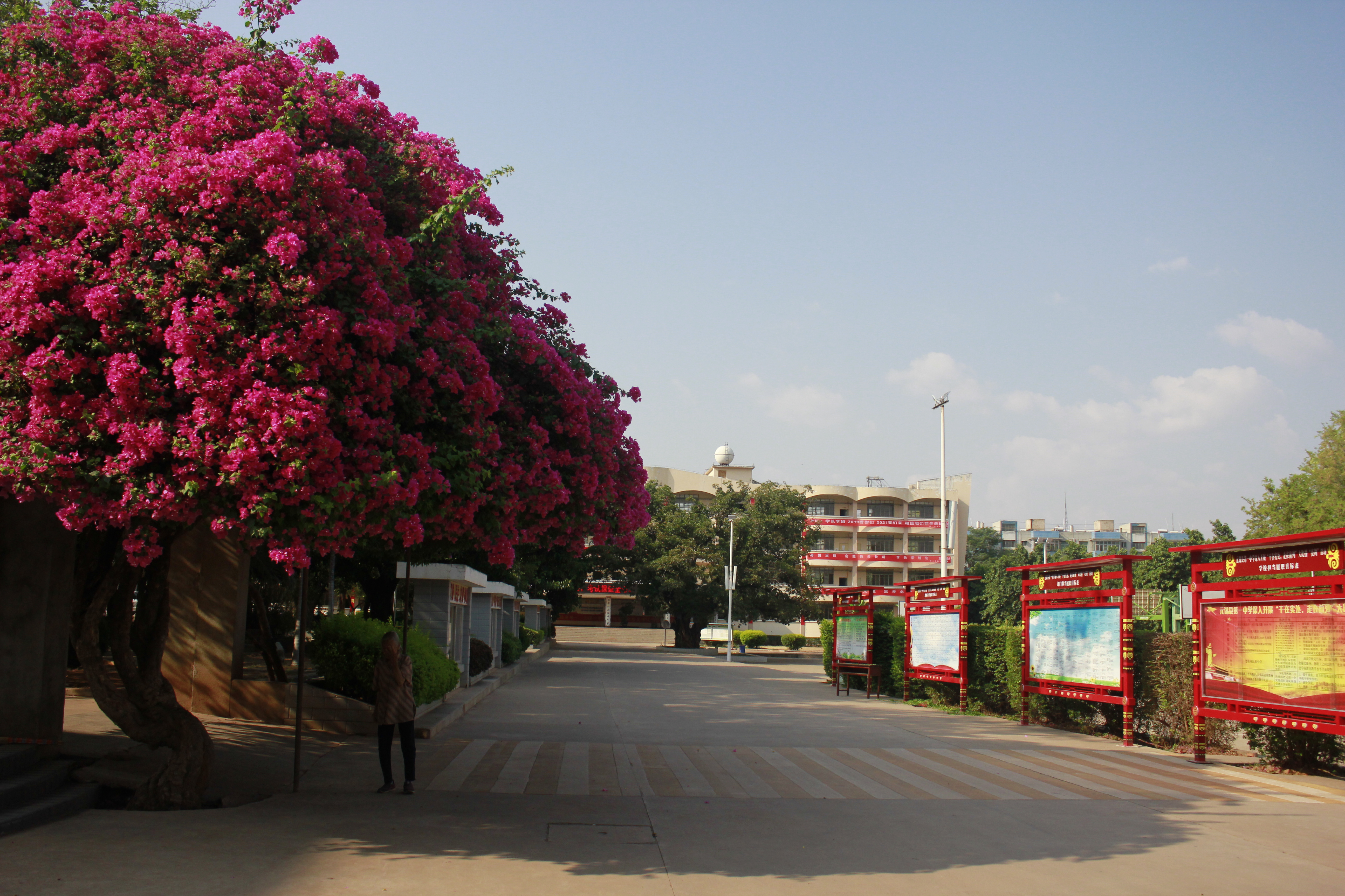  p>云南省元谋县第一中学( i>yuanmou no.