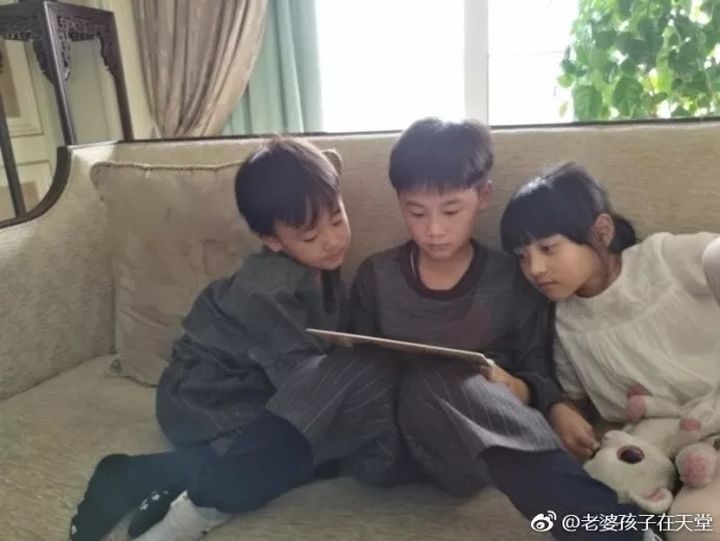  p data-id="go492vtl02">林臻娅,女,杭州纵火