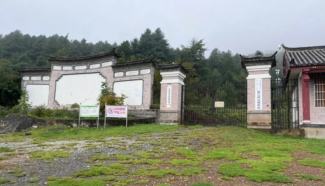 丽江高山植物园