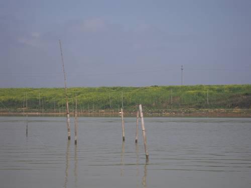  p data-id="go16mxc5w8">康山大堤为鄱阳湖区重点圩堤之一,位于余干