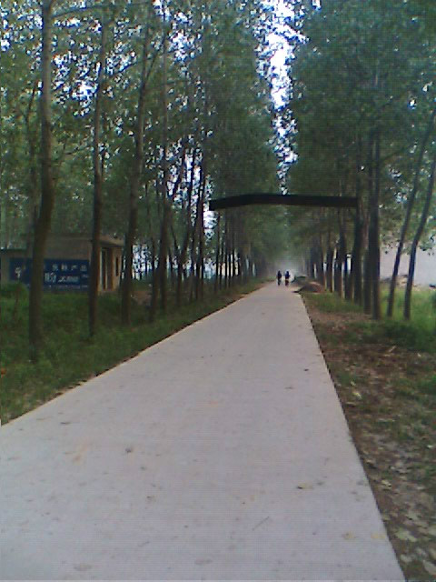 lemmaid="210553">宿州市东北部,隶属埇桥区灰古镇