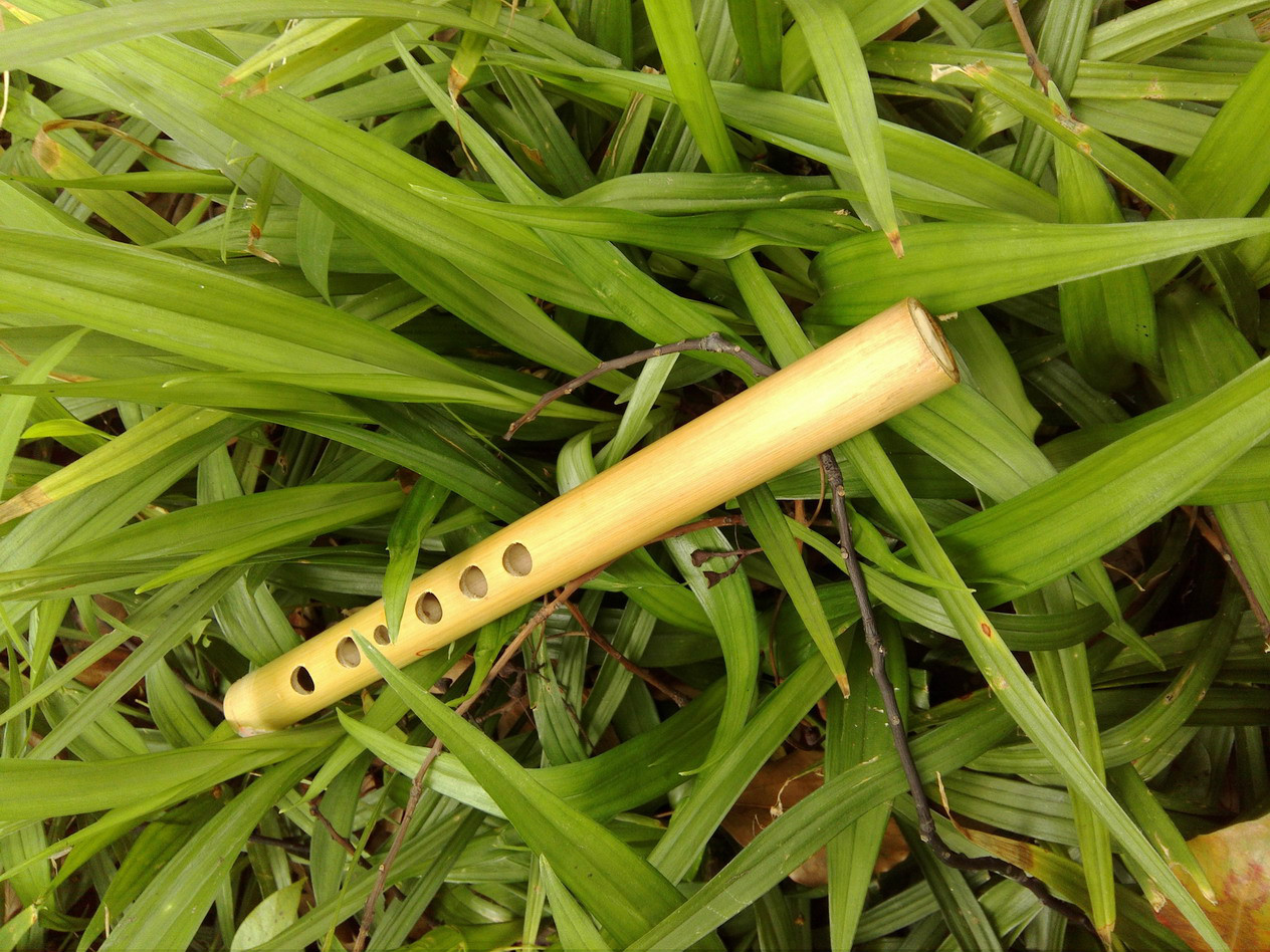  p data-id="go0dnmmb77">竹竖笛是一种竖吹,带哨嘴的竹制笛子,通常是