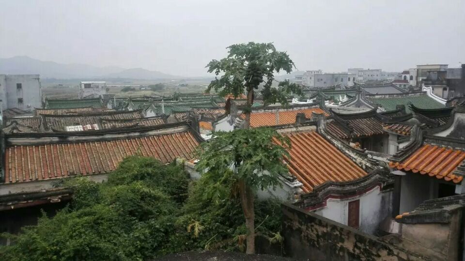 广东制毒"第一大村"