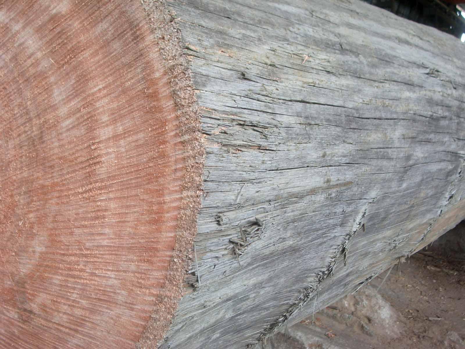  p data-id="go07619mgn">导管或微管管胞在横切面上的孔洞,即胞腔.