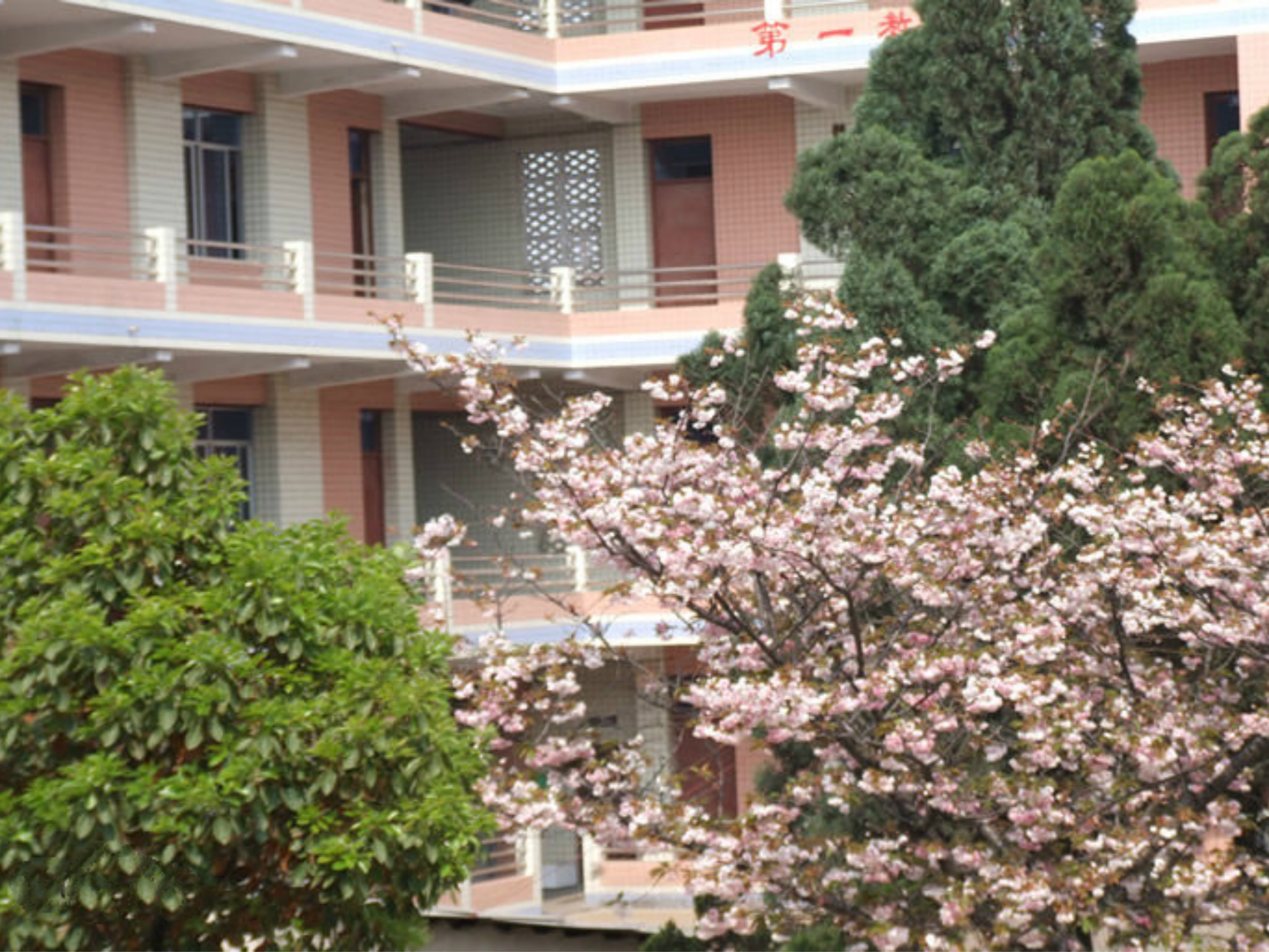 安顺市第三高级中学