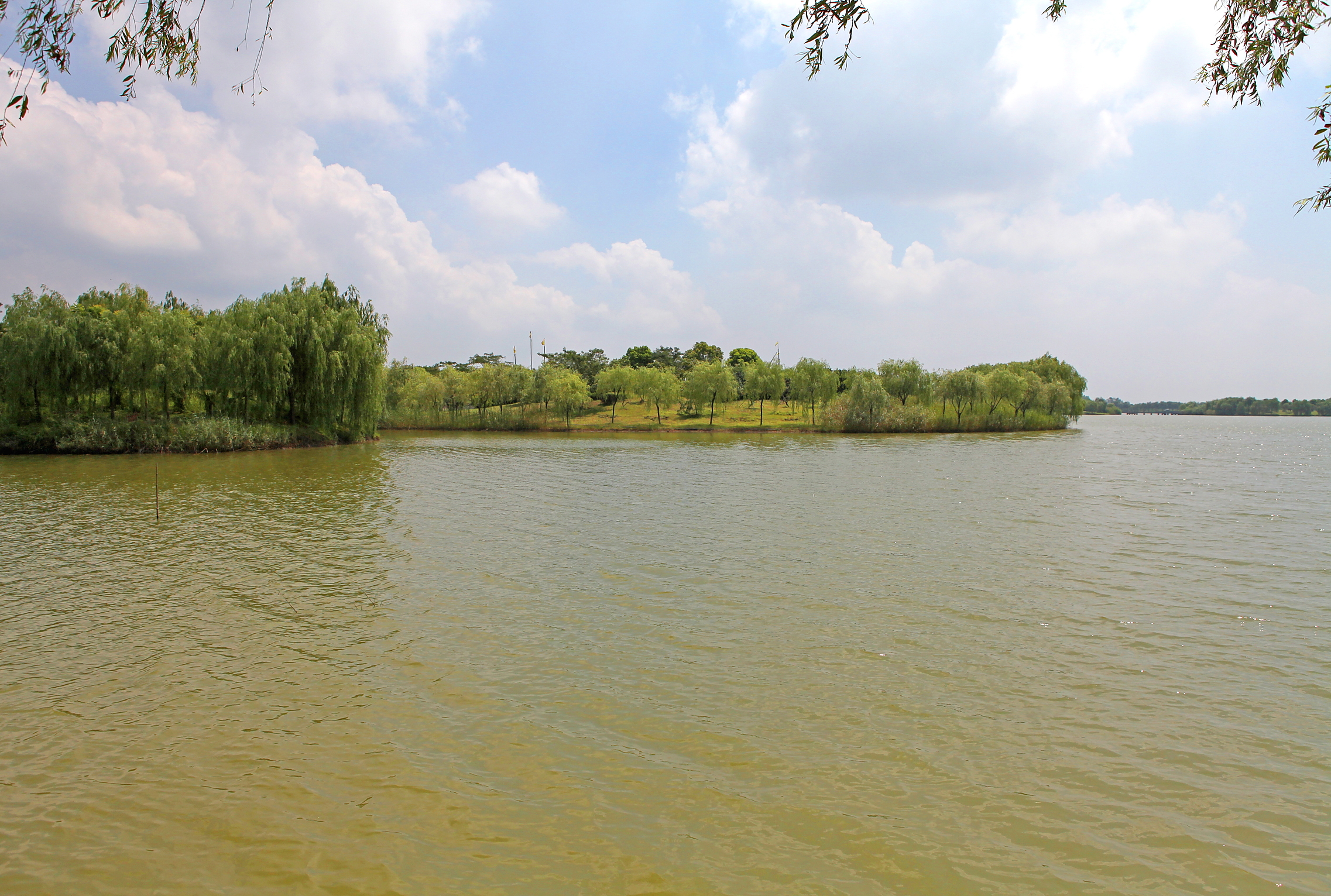 大纵湖(大纵湖景区)